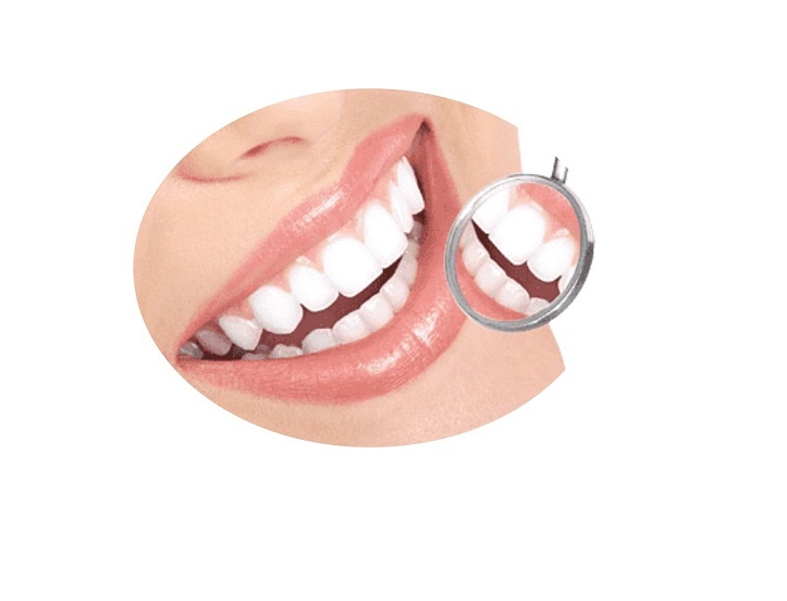 Artificial Denture Rigid (Complete Set)