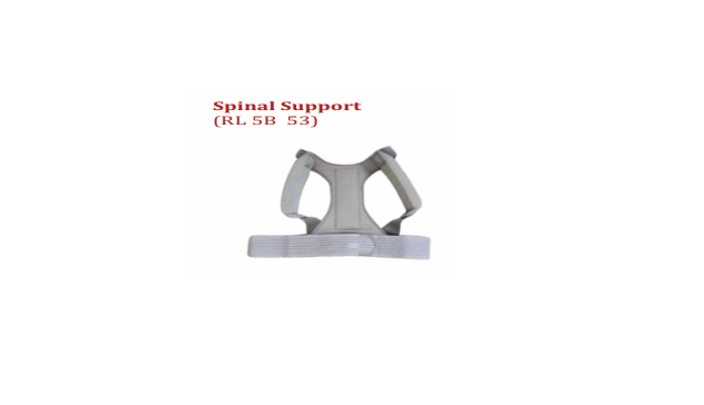 Spinal Support
